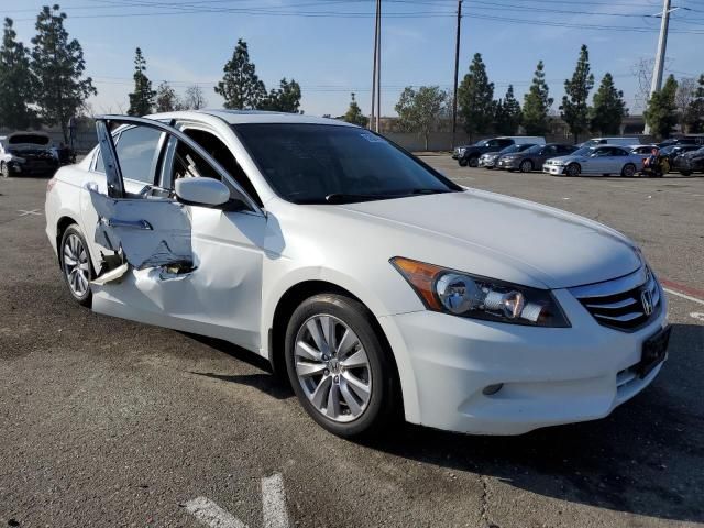 2011 Honda Accord EXL