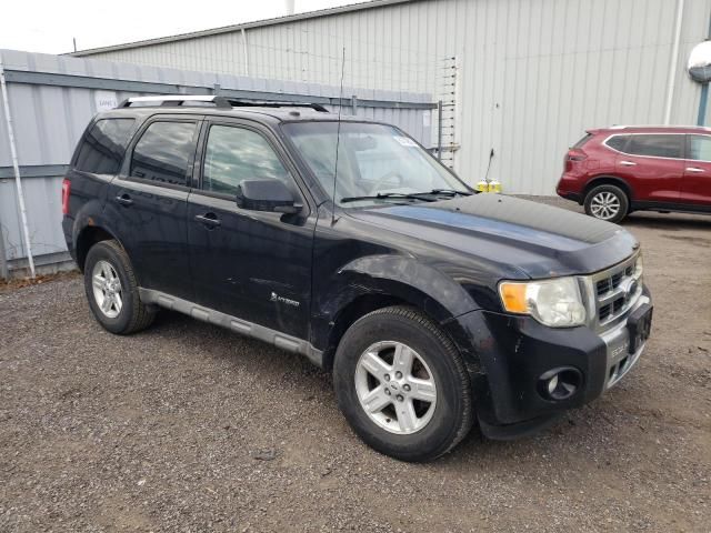 2009 Ford Escape Hybrid