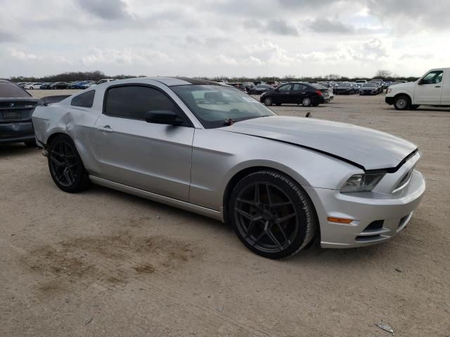 2013 Ford Mustang