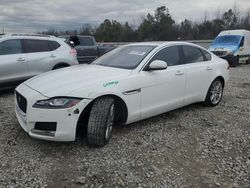 Salvage cars for sale at Memphis, TN auction: 2016 Jaguar XF Prestige