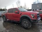 2020 Ford F150 Raptor