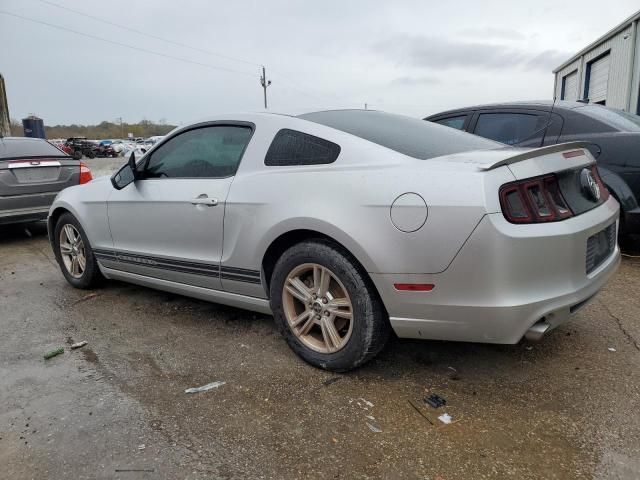 2013 Ford Mustang