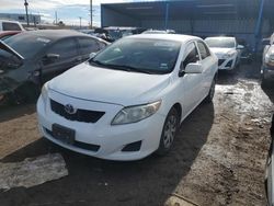 Salvage cars for sale from Copart Colorado Springs, CO: 2010 Toyota Corolla Base