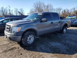 Ford salvage cars for sale: 2013 Ford F150 Supercrew