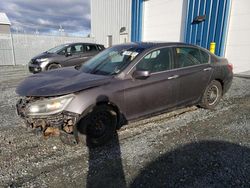 Salvage cars for sale at Elmsdale, NS auction: 2014 Honda Accord EXL