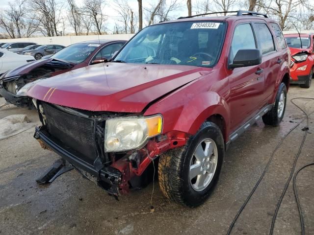 2009 Ford Escape XLT