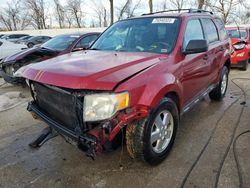 Ford salvage cars for sale: 2009 Ford Escape XLT