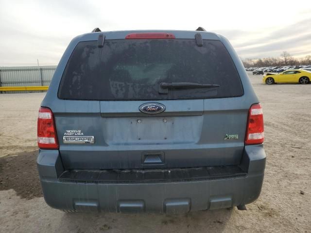 2010 Ford Escape XLT