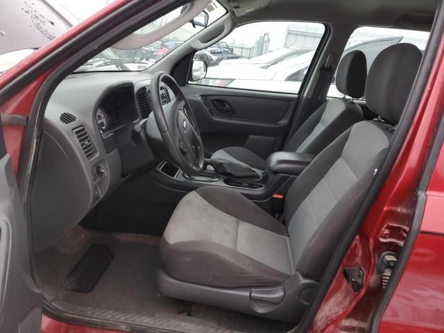 2005 Ford Escape XLS