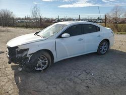 Salvage cars for sale at Indianapolis, IN auction: 2012 Nissan Maxima S