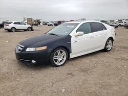 Salvage cars for sale from Copart Houston, TX: 2008 Acura TL