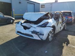 Salvage cars for sale at Vallejo, CA auction: 2023 Tesla Model Y