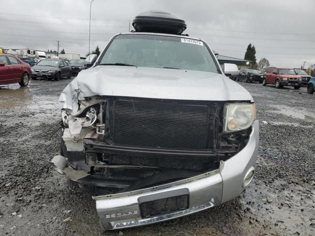 2010 Ford Escape Limited