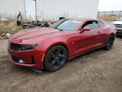 Chevrolet Camaro LS salvage cars for sale: 2019 Chevrolet Camaro LS