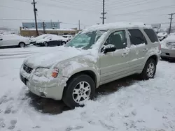 Salvage cars for sale at Colorado Springs, CO auction: 2004 Ford Escape Limited