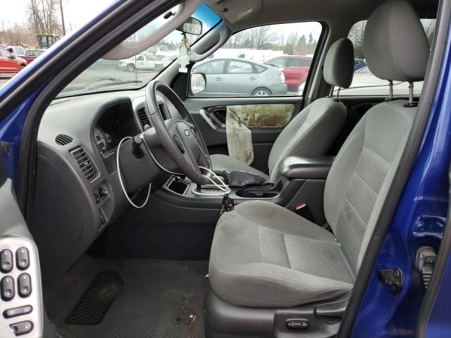 2005 Ford Escape XLT