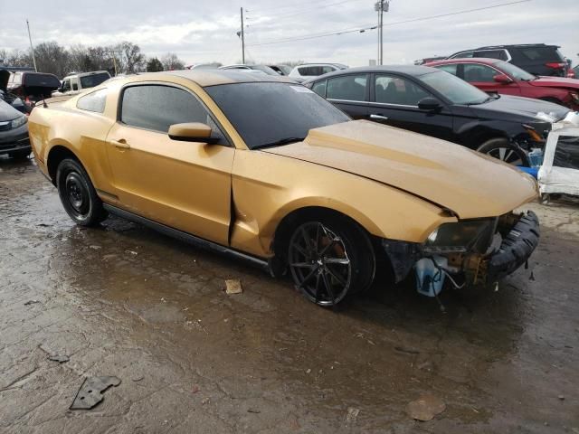 2010 Ford Mustang