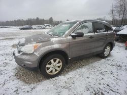 Salvage cars for sale at Candia, NH auction: 2011 Honda CR-V SE