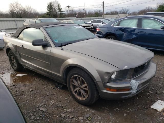 2005 Ford Mustang