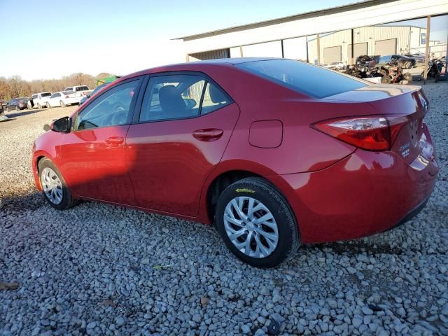 2019 Toyota Corolla L