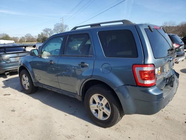 2011 Ford Escape Hybrid