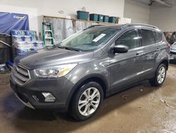 Clean Title Cars for sale at auction: 2019 Ford Escape SEL