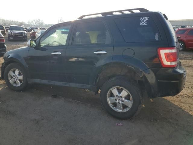 2009 Ford Escape XLT