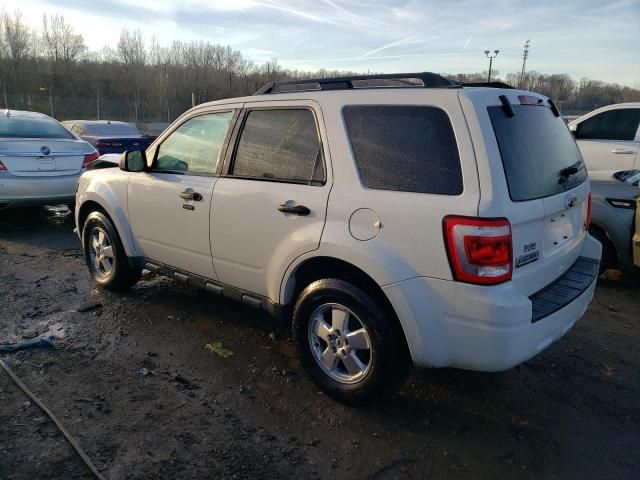 2011 Ford Escape XLT