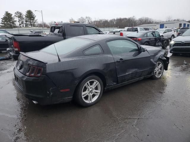 2013 Ford Mustang