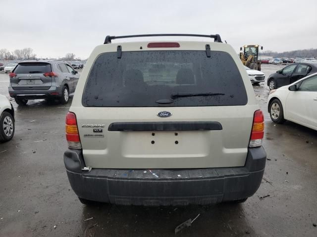 2006 Ford Escape XLT