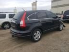 2010 Honda CR-V EXL