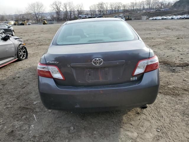 2009 Toyota Camry Hybrid