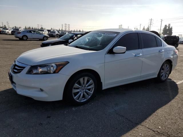 2011 Honda Accord EXL