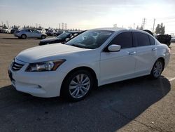 Honda Accord exl Vehiculos salvage en venta: 2011 Honda Accord EXL