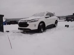 Salvage cars for sale at Montreal Est, QC auction: 2021 Ford Escape SEL