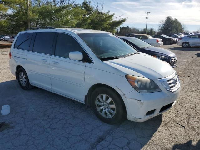 2010 Honda Odyssey EXL