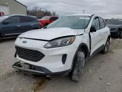 Salvage cars for sale at Lawrenceburg, KY auction: 2020 Ford Escape SE