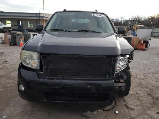 2008 Ford Escape XLT