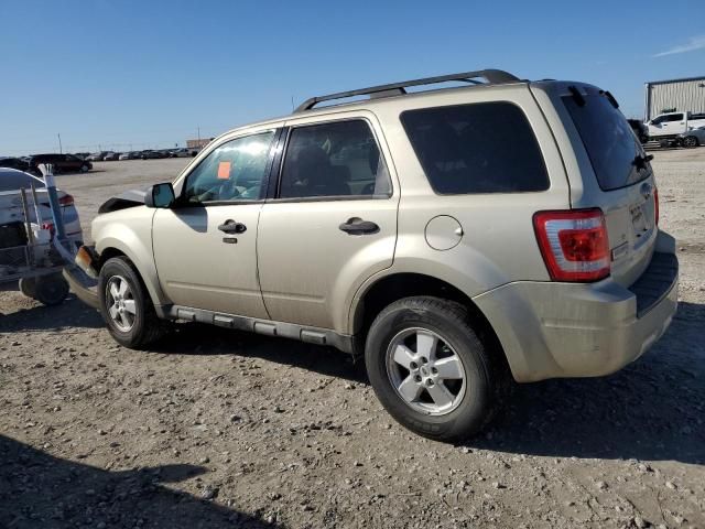 2010 Ford Escape XLT