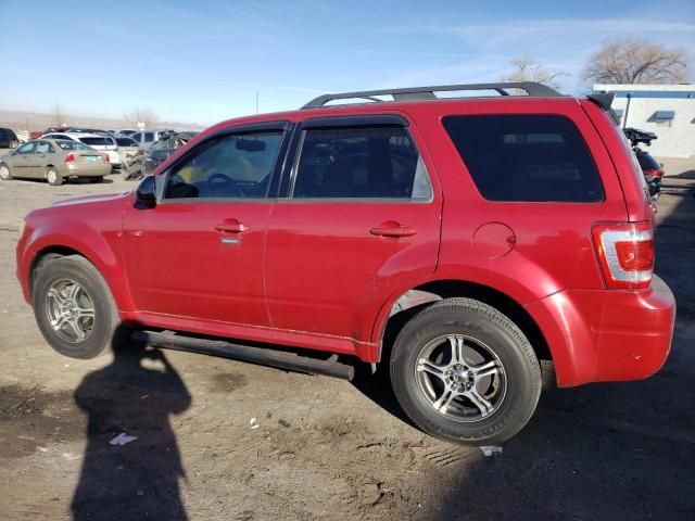 2009 Ford Escape XLT