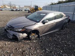 Salvage cars for sale at Marlboro, NY auction: 2019 Toyota Camry XSE