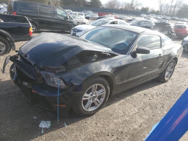 2014 Ford Mustang