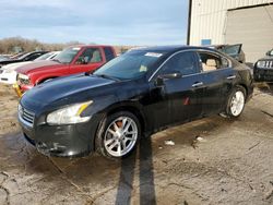 Salvage cars for sale from Copart Memphis, TN: 2014 Nissan Maxima S