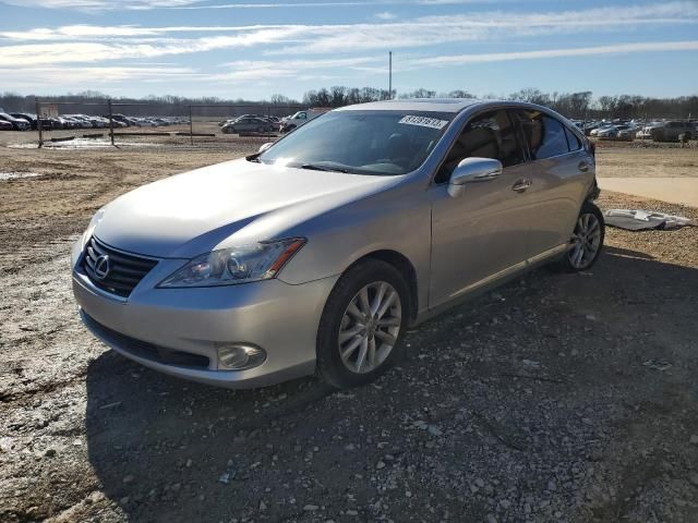 2010 Lexus ES 350