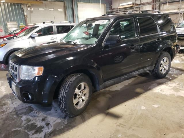 2010 Ford Escape Limited