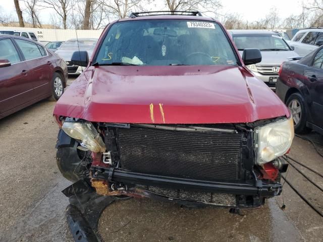 2009 Ford Escape XLT