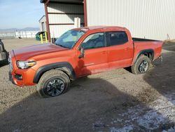 Salvage cars for sale at Helena, MT auction: 2016 Toyota Tacoma Double Cab