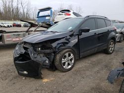 Salvage cars for sale at Leroy, NY auction: 2013 Ford Escape SE