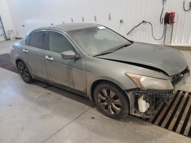 2008 Honda Accord EXL