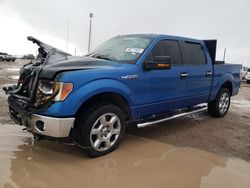 Ford salvage cars for sale: 2013 Ford F150 Supercrew